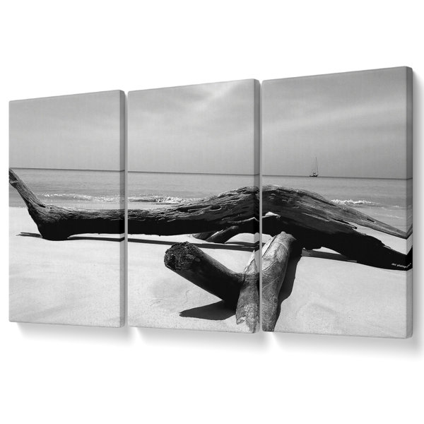 Highland Dunes Ocean Drift Wood On The Shore B N W Canvas 3 Panel Set